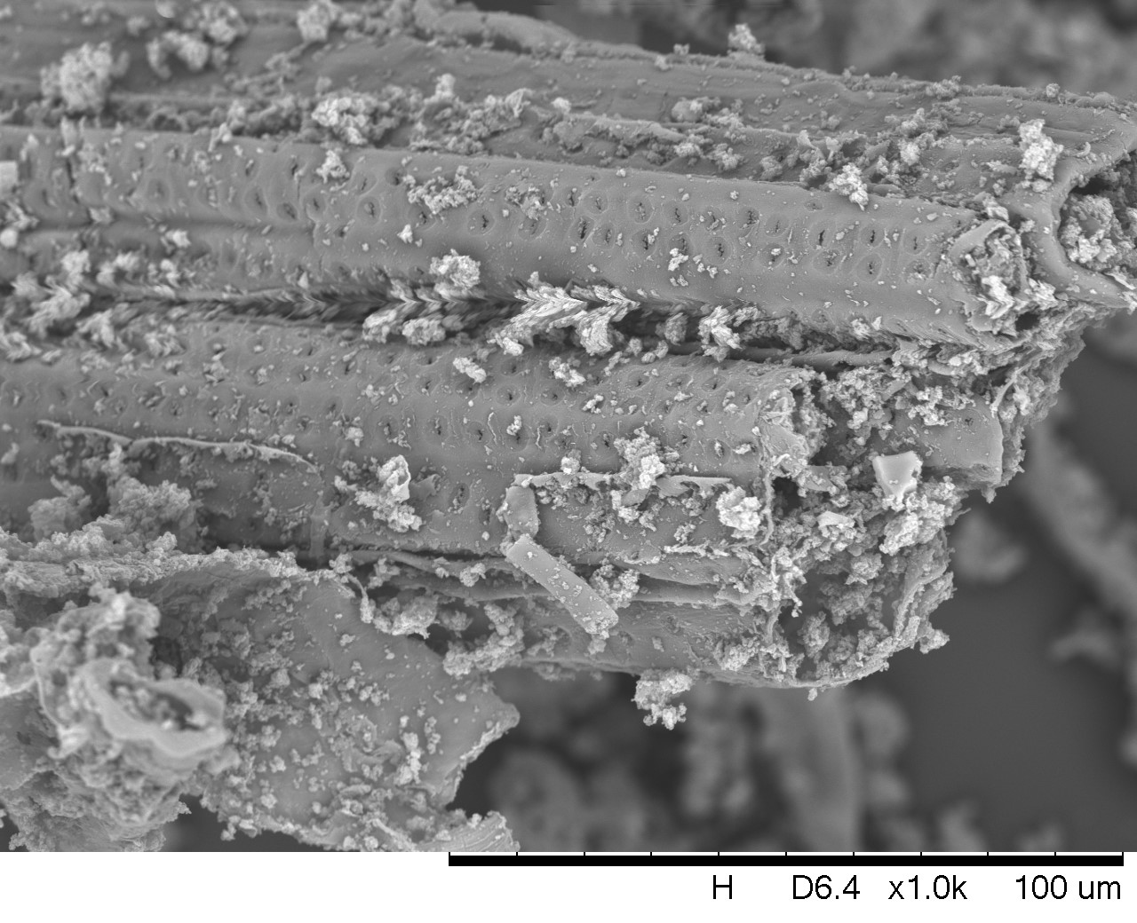 M200 (x1.0k) M200 (x1.0k)